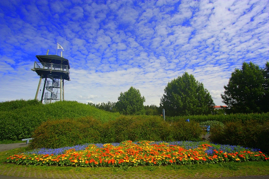 Ботанический сад – одно из лучших дешевых мест для отдыха в Рейкьявике.