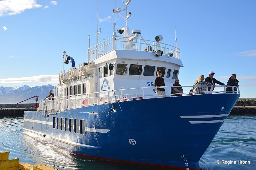 The ferry Sævar that brings people to Hrísey island