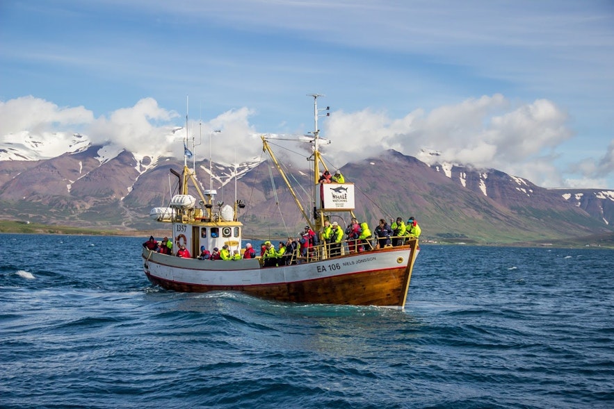 The oak boat used on a traditional whale watching tour from Husavik in North Iceland