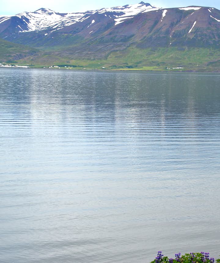 Eyjafjörður Fjord in North-Iceland - part I - Hrísey Island - the Pearl of Eyjafjörður