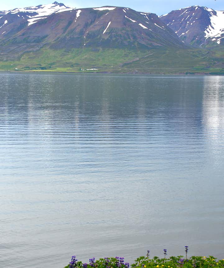 Eyjafjörður Fjord in North-Iceland - part I - Hrísey Island - the Pearl of Eyjafjörður
