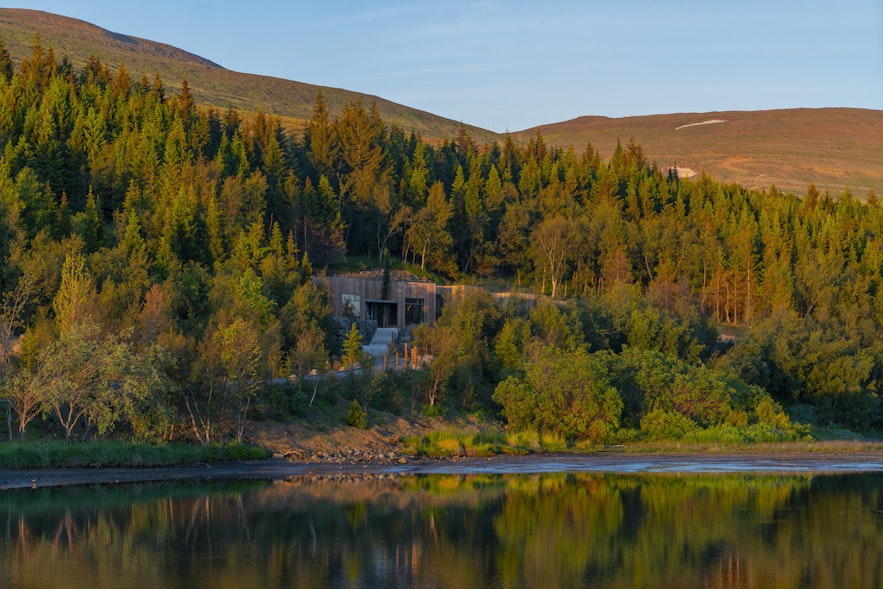 Iceland has few forests, but woodland surrounds the Forest Lagoon.