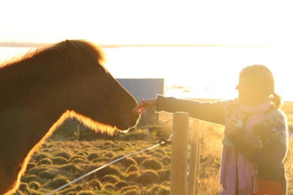 A person interacts with a friendly Icelandic horse at Esjan, a glamping experience in converted buses near Reykjavik.
