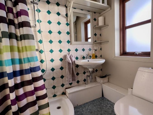 A bathroom at Sula Guesthouse in Iceland, with a shower, shower curtain, toilet, basin, and mirror.