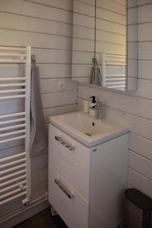 A sink with soap, a mirrored cabinet, and a heating rack in a bathroom at Dalasetur.