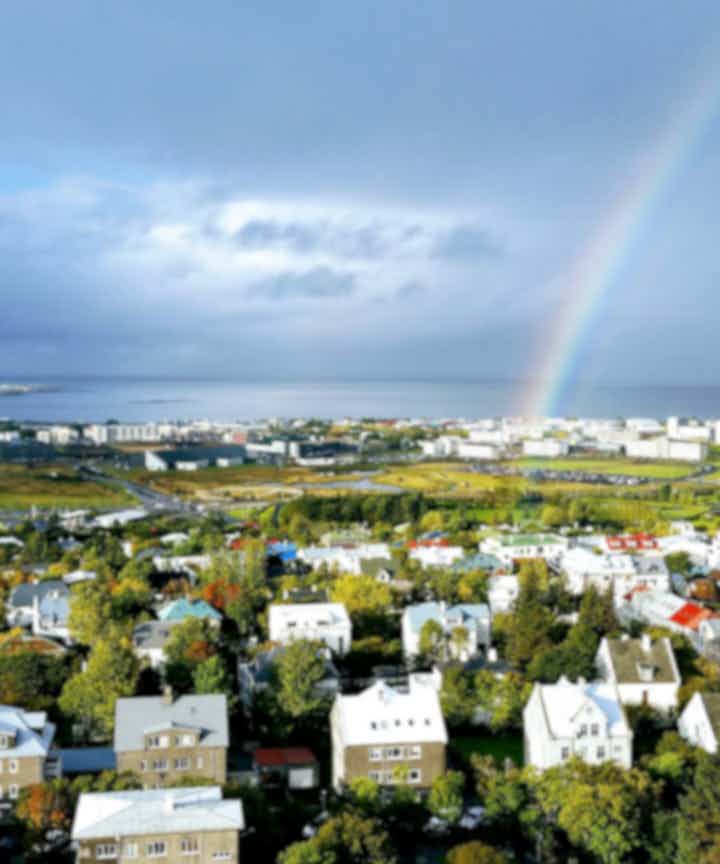 Stadswandelingen in Reykjavik