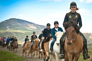 A friendly, English speaking guide leads a group of travelers while horseback riding.