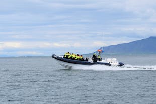 A RIB speed boat powers through the sea off the shore of Reykjavik.
