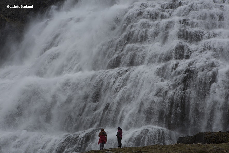 Two people stand at the bottom of the Dynjandi waterfalls.