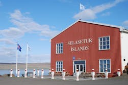 Исландский центр тюленей