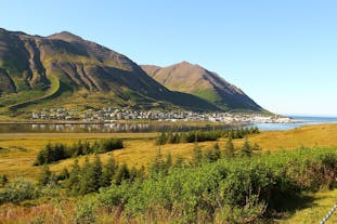 Experience the best of Iceland's natural beauty and authentic charm in Siglufjordur's quaint village and countryside.