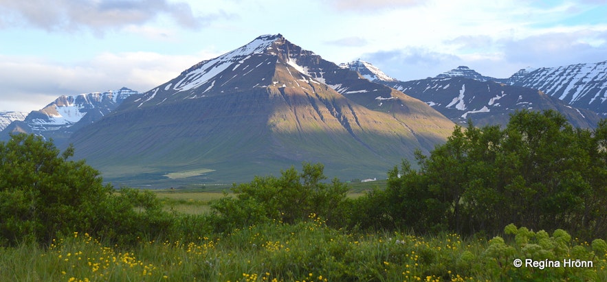 The beautiful Svarfaðardalur Nature Reserve and Húsabakki in North Iceland