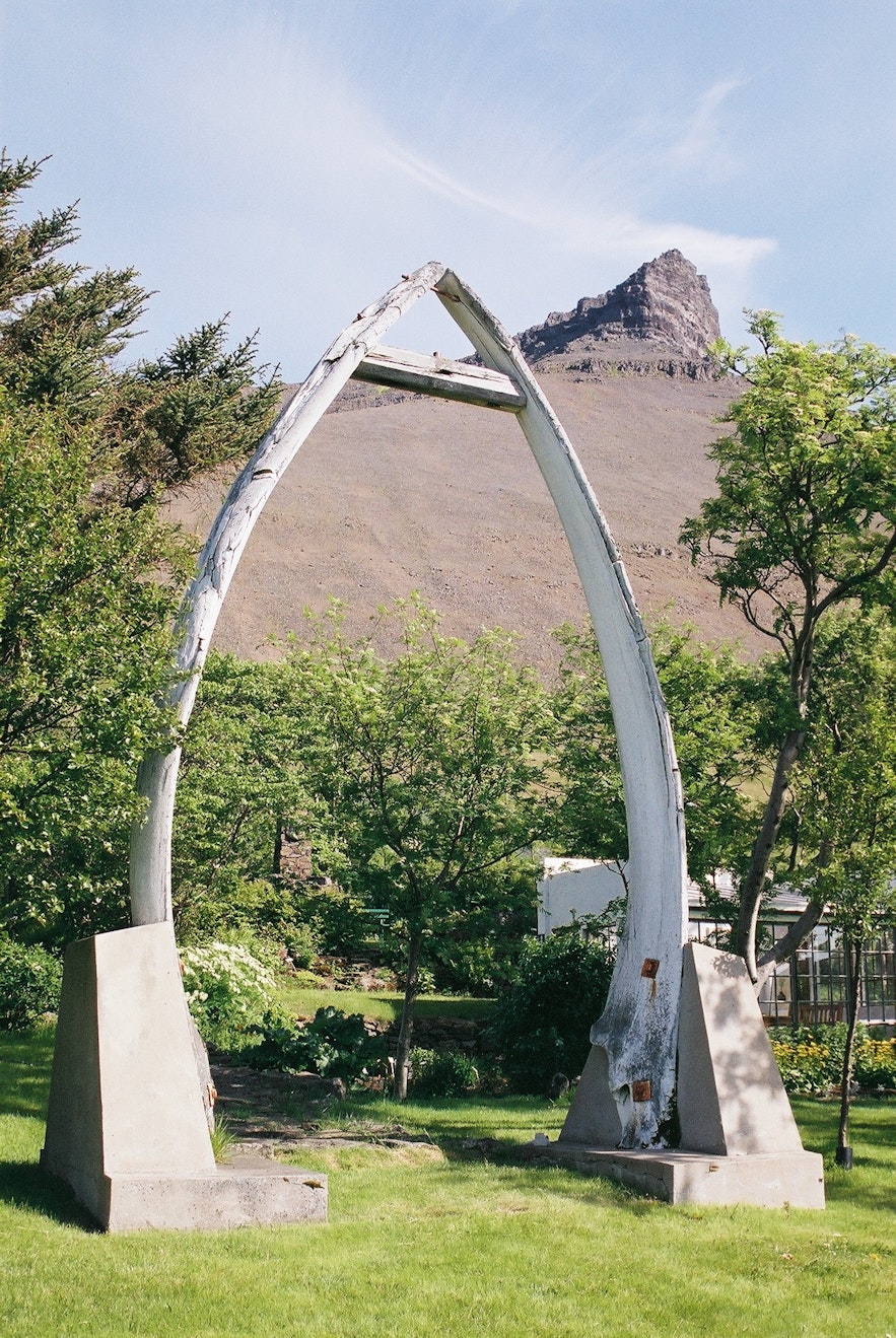 An image of the arched whale jaw bones in Skrudur Botanical Garden.