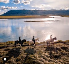 Klassieke paardrijtocht van 1 uur in Zuid-IJsland