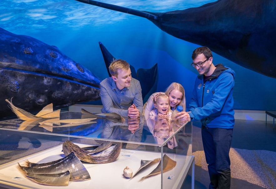 Eine geführte Tour durch die Ausstellung "Whales of Iceland"