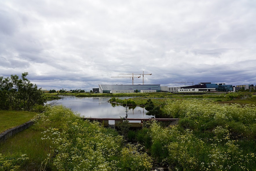 Vatnsmyri marshes close to the Nordic House in Reykjavik
