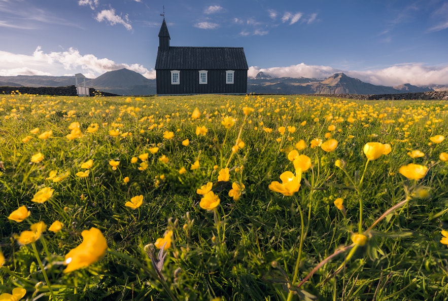Der Sommer in Island ist eine gute Zeit, um die Kirche Budakirkja auf der Halbinsel Snaefellsnes zu besuchen