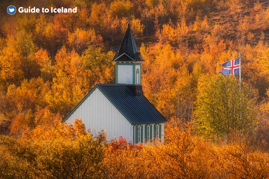 秋のアイスランドは紅葉が見事。写真はシンクヴェトリル国立公園