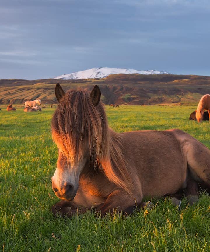 봄은 아이슬란드를 방문하기 좋은 시기입니다.