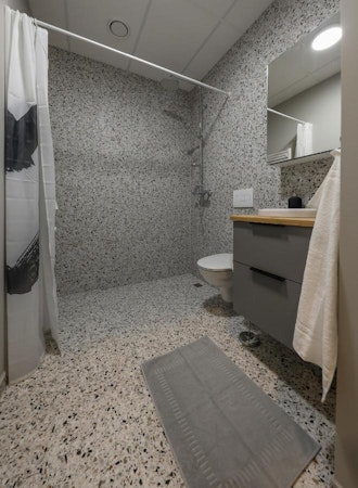 A bathroom with a toilet and shower at Center Apartments in Reykjavik.
