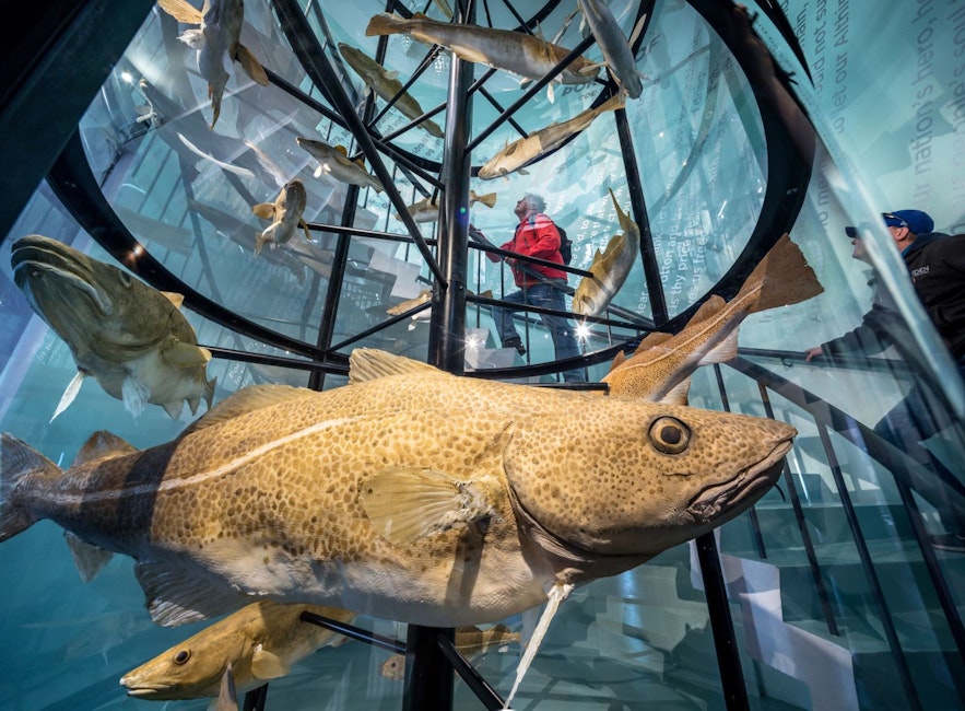 Der Eingang des Seefahrtsmuseums in Reykjavik ist mit einer Treppe ausgestattet, die um eine Meeresskulptur herumführt, die mit Fischen besetzt ist.