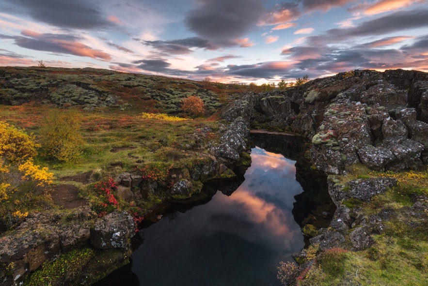 Ущелье в национальном парке Тингведлир в Исландии в осеннем убранстве на фоне заката.