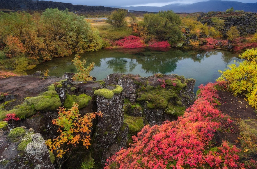 アイスランドのシンクヴェトリル国立公園の秋の風景