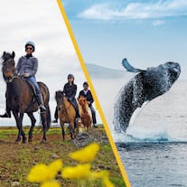 Horseback Riding and Whale-Watching Tour from Reykjavik