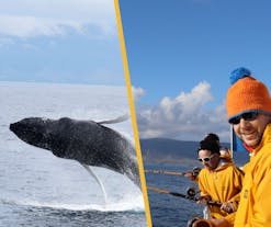 Tour de avistamiento de ballenas y pesca con caña en el mar
