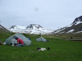 Real Adventure in the Westfjords!