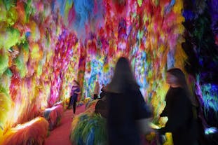The second chamber of the Chromo Sapiens art installation is a crazy mix of vibrant colors that could evoke intense emotions.