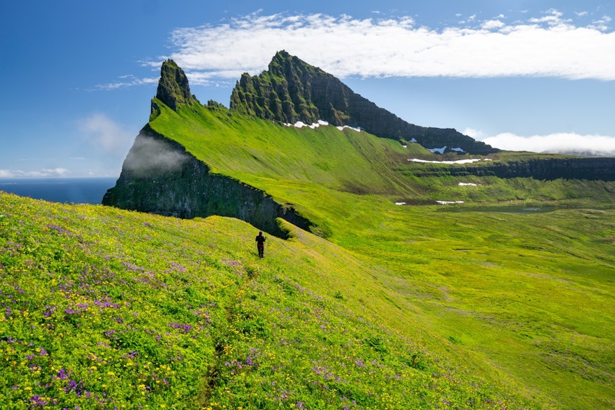 冰岛的西峡湾是著名的旅游胜地。